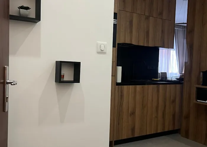 Misic Apartment Colmar